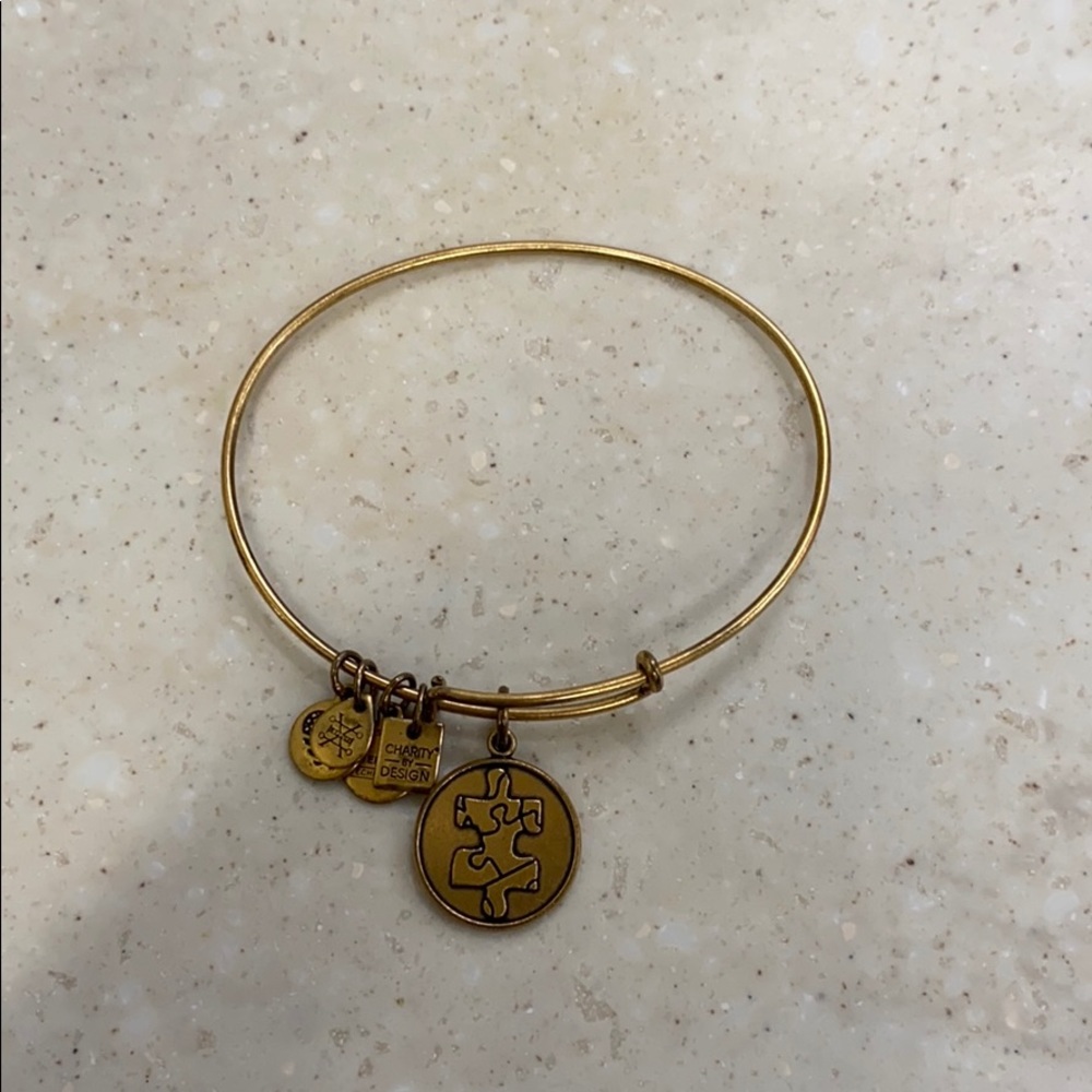 Alex and Ani - autism awareness bracelet